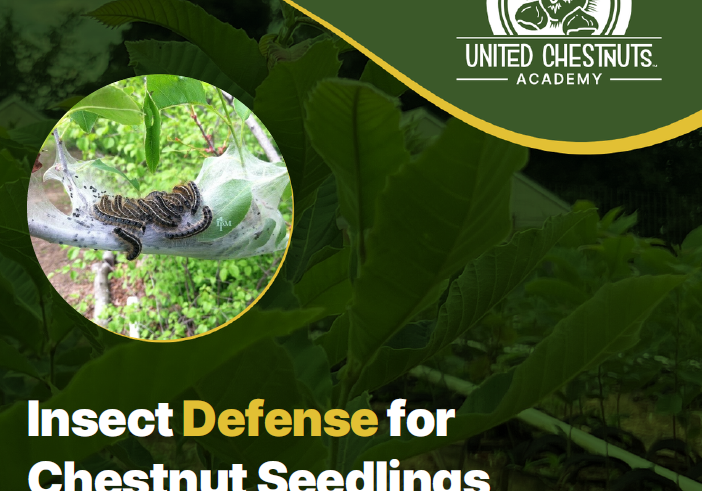 Chestnut_Farming_Guide_Defense_For_Pests