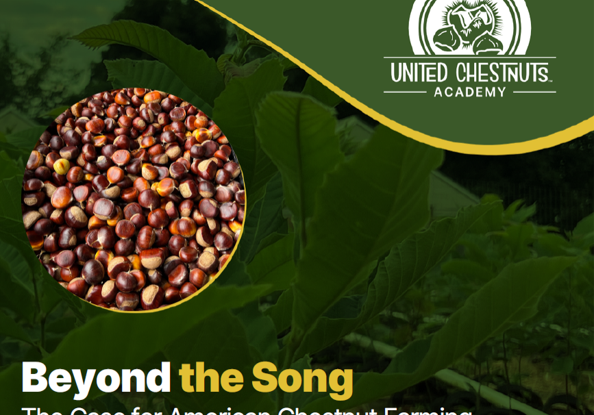 Basic education history of American chestnuts and Chinese chestnut trees.