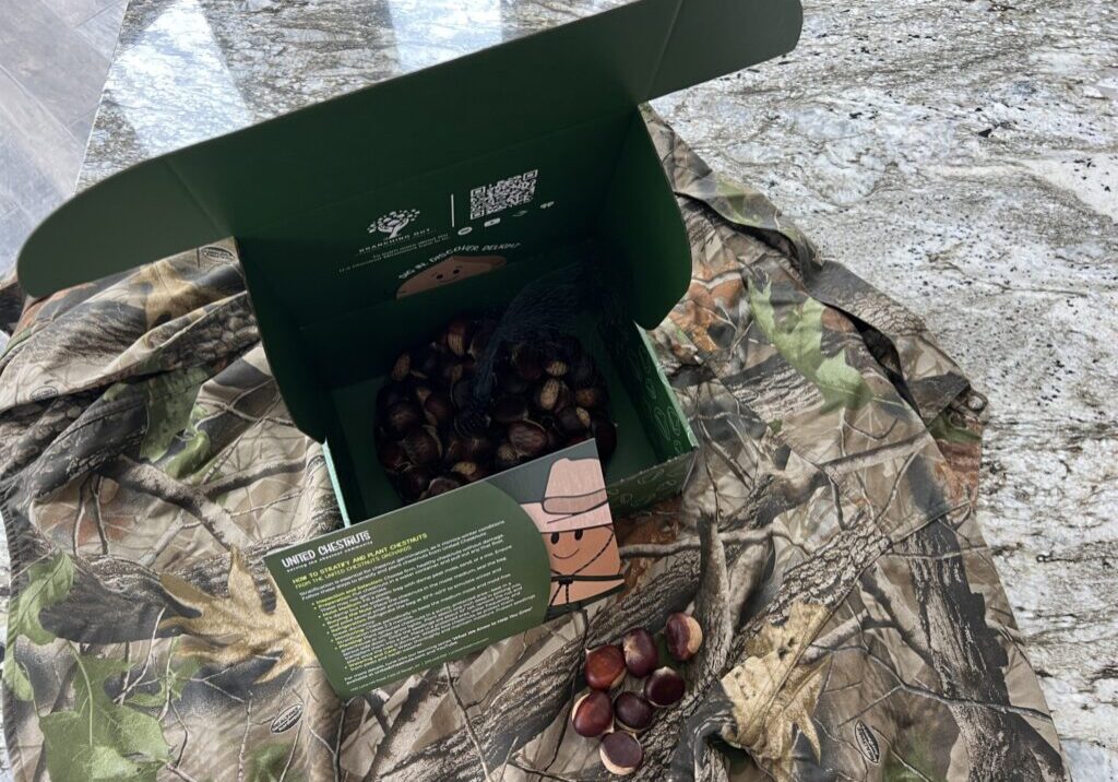 Box of Dunstan chestnut seed nuts with camo packaging
