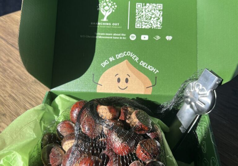 Fresh Chestnuts from United Chestnuts and EBB Farms in Kentucky
