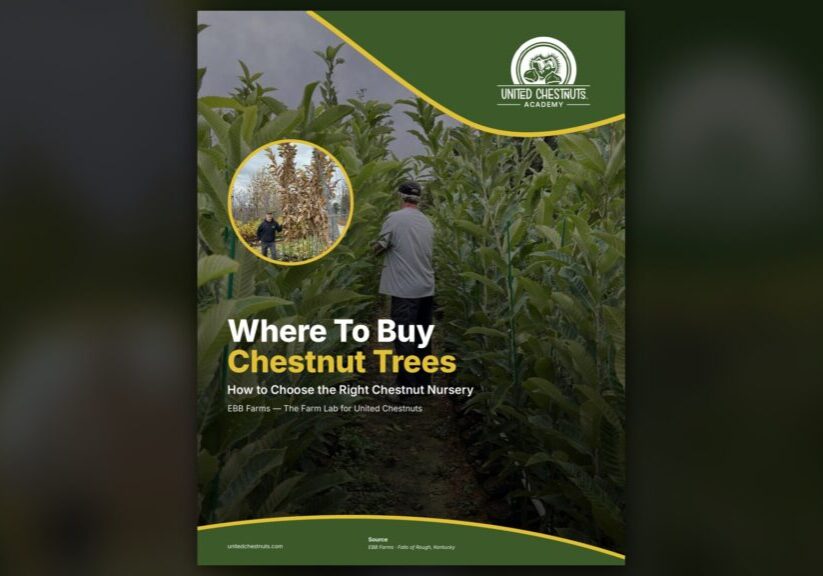 Chestnut nursery guide cover from the United Chestnuts Academy