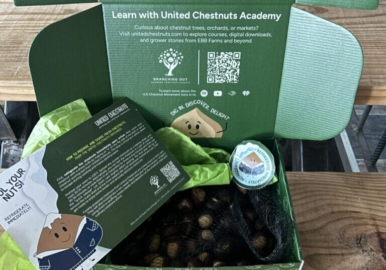 Five pound box of fresh chestnuts from EBB Farms.