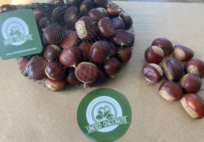 chestnuts_8_a6fa1f60-0269-469a-9e9a-9afe3fb12f4a